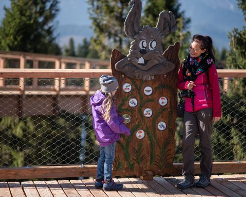 BWP-Bachledka_DSC_6587_Lernstation_Herbst@eak